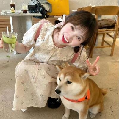 龙在边缘国语